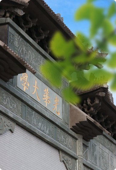 芳草绿树